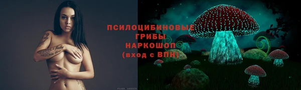 героин Богданович