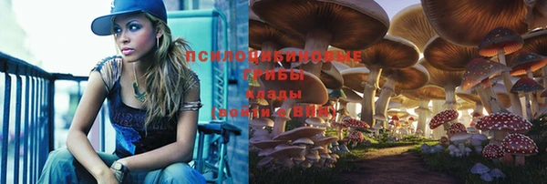 не бодяженный Богородицк